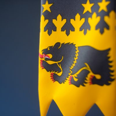 Viiri